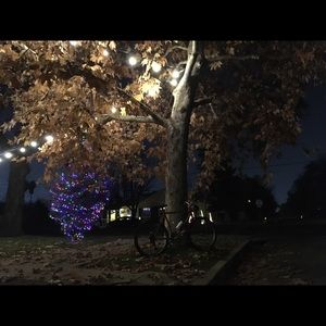 Meet your Posher, Tony